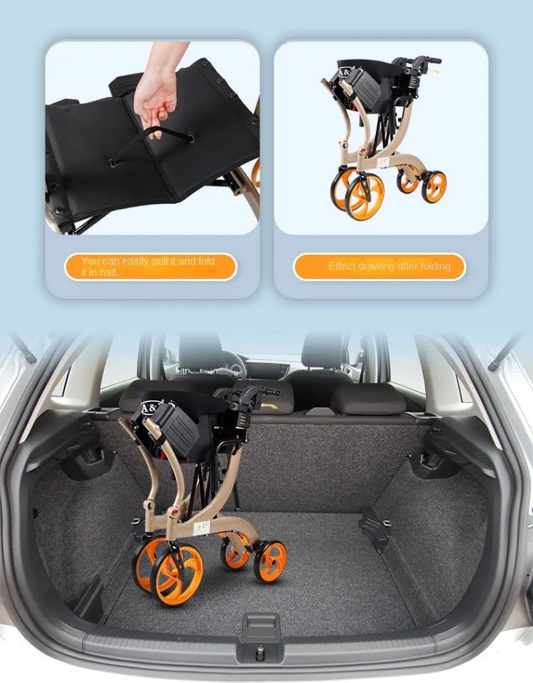 PushRoll Duo Walker