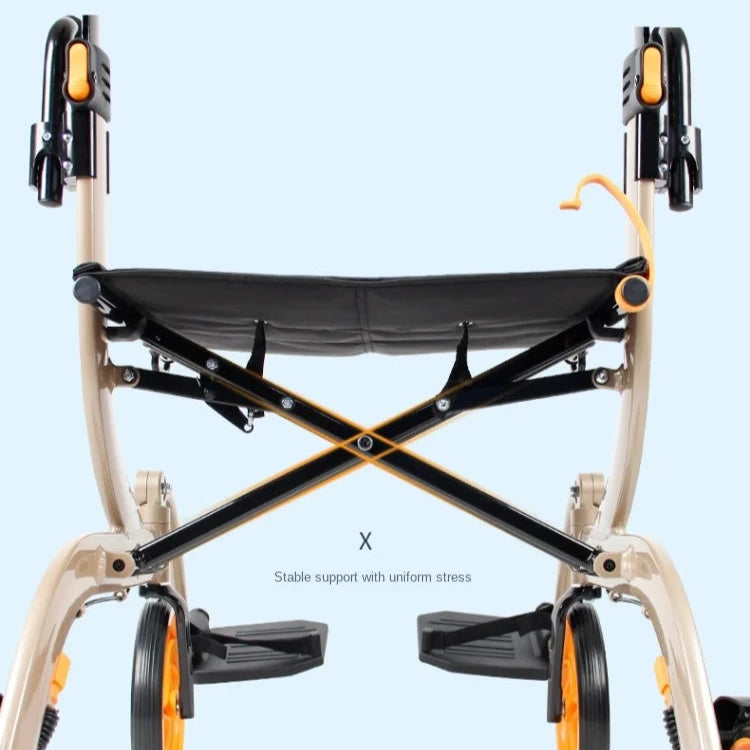 PushRoll Duo Walker