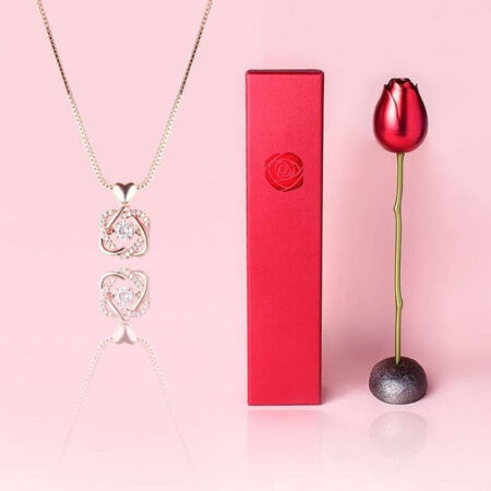Love Heart Necklace (Gift)